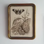 Au Jeu De Paume Oda ve Kahvaltı 4*