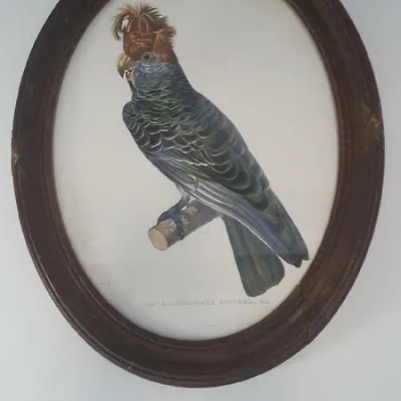 Au Jeu De Paume Frühstückspension