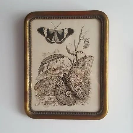 Au Jeu De Paume Bed & Breakfast 4*