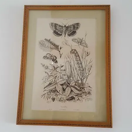 Au Jeu De Paume Frühstückspension 4*