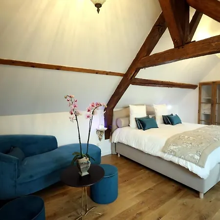 Au Jeu De Paume Bed & Breakfast Epernay