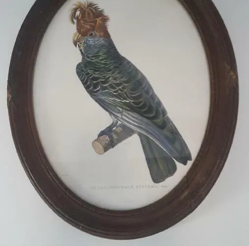 Au Jeu De Paume Bed & Breakfast