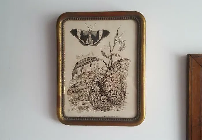 Au Jeu De Paume Alojamento de Acomodação e Pequeno-almoço 4*