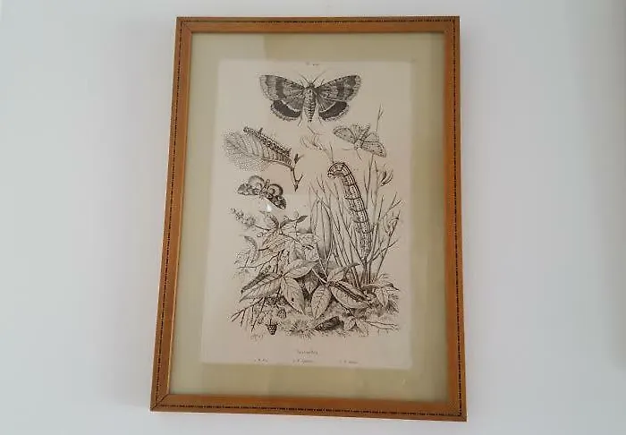 Au Jeu De Paume Alojamento de Acomodação e Pequeno-almoço 4*